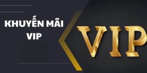 Thưởng VIP – Đặc Quyền Đỉnh Cao Dành Riêng Cho Thành Viên
