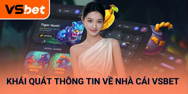 Khái quát thông tin về nhà cái hàng đầu VSBET