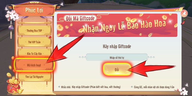 Những lưu ý khi nhận code VSBET
